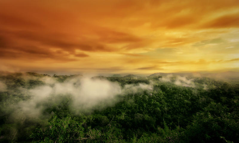 <p>Mount Langara, Lumpangi-Loksado South Borneo</p>
