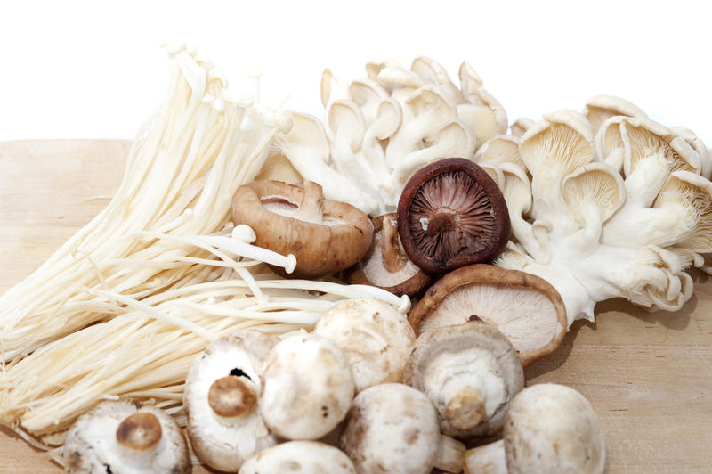 Variety of fresh edible fungi or mushrooms used as a delicacy and flavouring in cooking including shitake, oyster and agaric