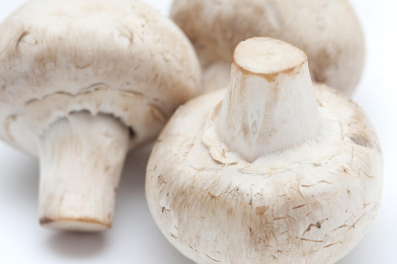 Close up Three Healthy Fresh Uncooked Mushrooms Isolated on White