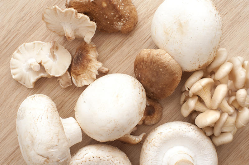 Different white mushrooms on wooden board. From above