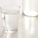 10448   Shot glass with neat vodka