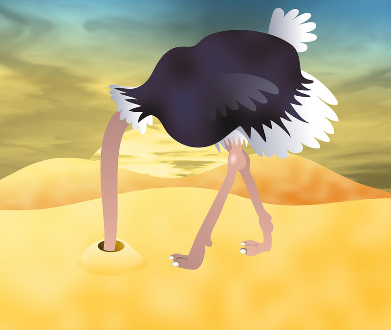 <p>An ostrich burying it's head in the sand.</p>