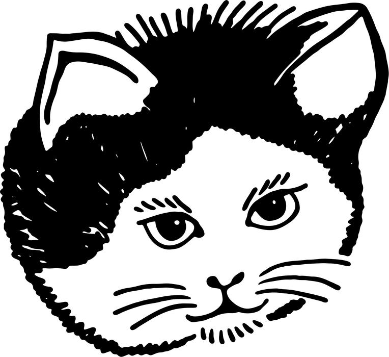 <p>Portrait of a cat.</p>