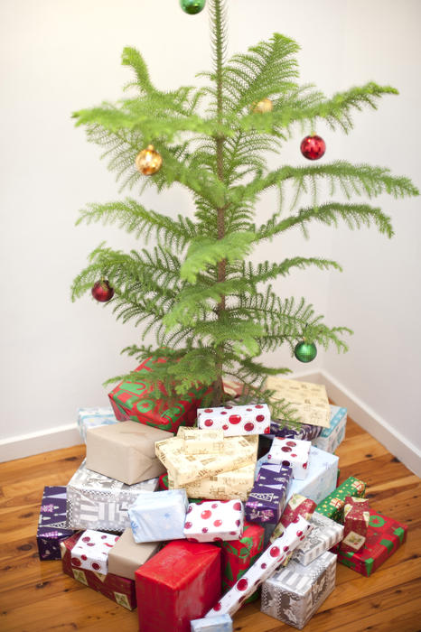 Pile of presents wrapped in colorful decorative paper under the evergreen Christmas tree decorated with baubles, indoors