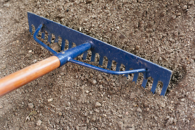 Metal garden rake with blue tines being raked across the surface of the soil for planting