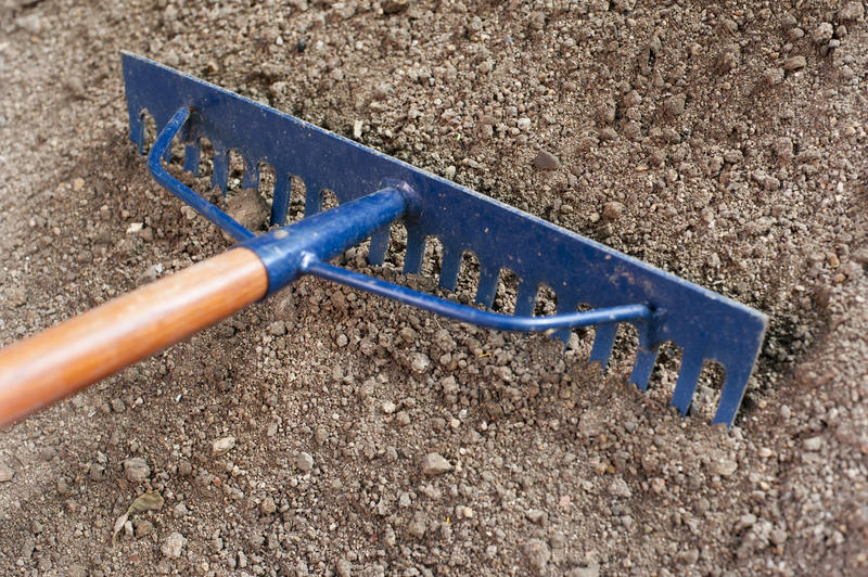 Metal garden rake with blue tines being raked across the surface of the soil for planting