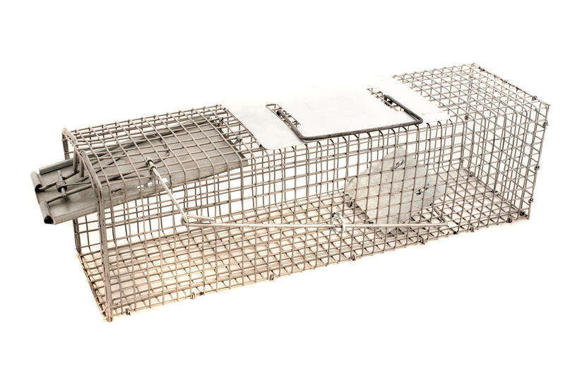 Close up Open Rat Trap Metal Cage with Handle Isolated on White Background