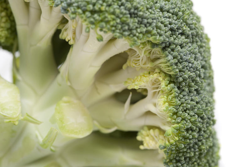 Head of fresh raw broccoli with closeup detail of the edible stalk and flower buds or florets