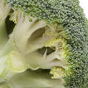 8511   Head of fresh raw broccoli