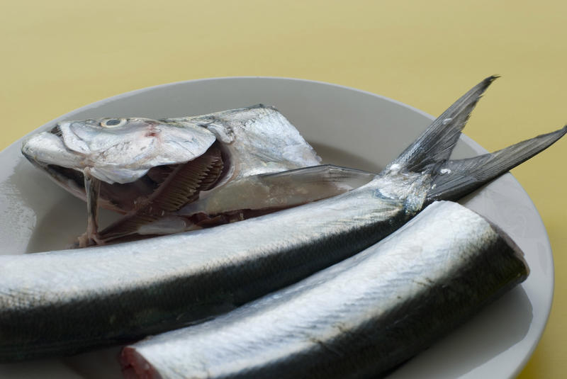 Preparing fresh fish with the head and tail on a plate in the process of being cleaned for the kitchen