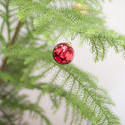 8670   Bauble hanging on the branch of a Christmas tree