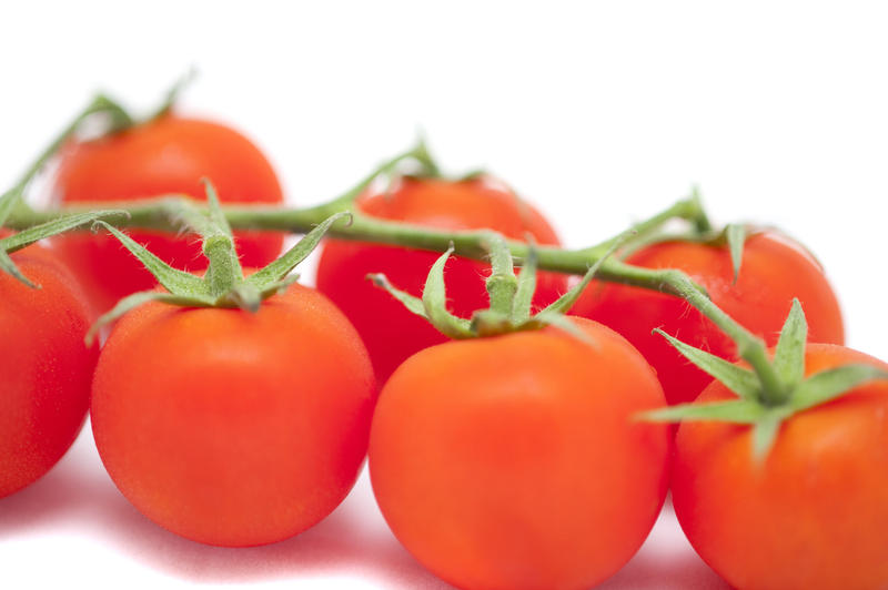 Close up Healthy Fresh Red Tomatoes on a Stem Isolated on White Background.