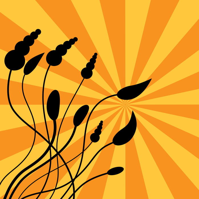 <p>Silhouette reeds and sunburst clip art illustration.</p>