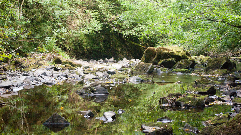 <p>Reflections on the River Pryddfyn</p>
<p>In the Vale of Neath</p>SONY DSC