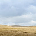 7778   Ribblehead moorland