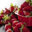 10418   Freshly picked harvest of ripe strawberries