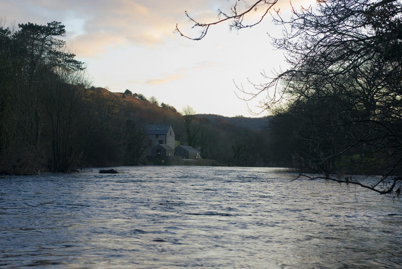 Scenic view through branches of the River Leven near Newby Bridge, Cumbria, English Lake District