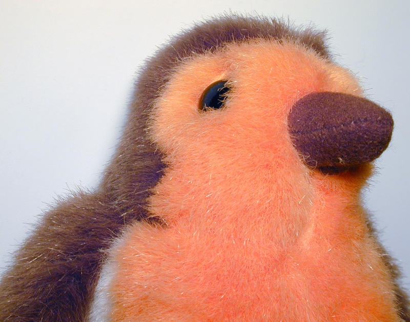 Close up view of the head and red breast of a soft stuffed fluffy toy robin, a favorite English songbird symbolic of winter and Xmas