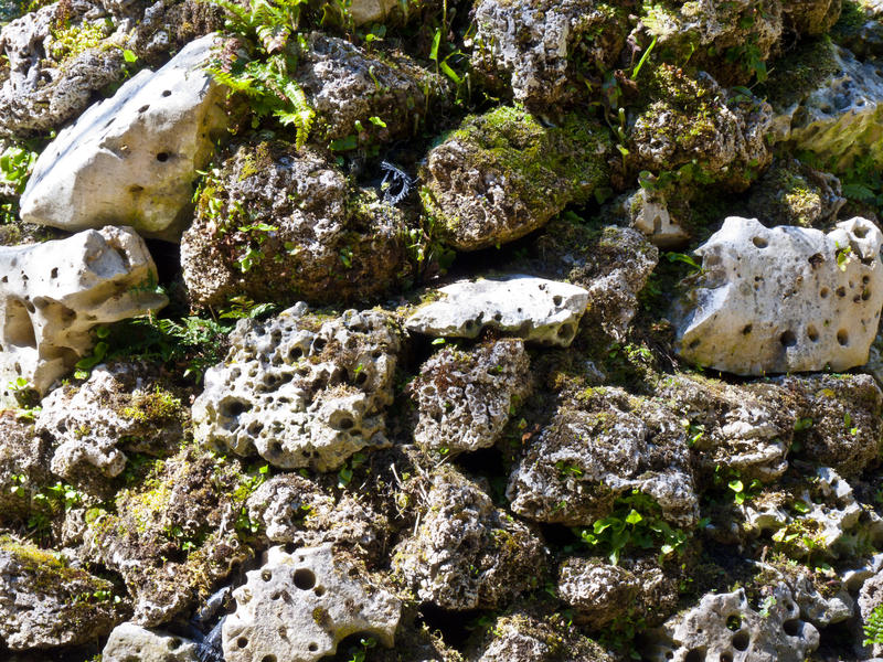<p>Rough-Stone.jpj </p>Pieces of rough grey stone forming an edge to a garden border.
