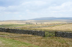 7779   Rural English landscape