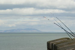 7750   Fishing off the pier at Whitehaven