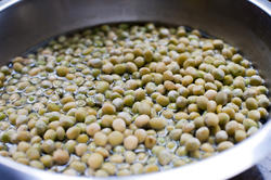 10626   Soaking Fresh Green Mung Beans on a Basin