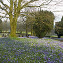 7883   Spring flowers in country graveyard