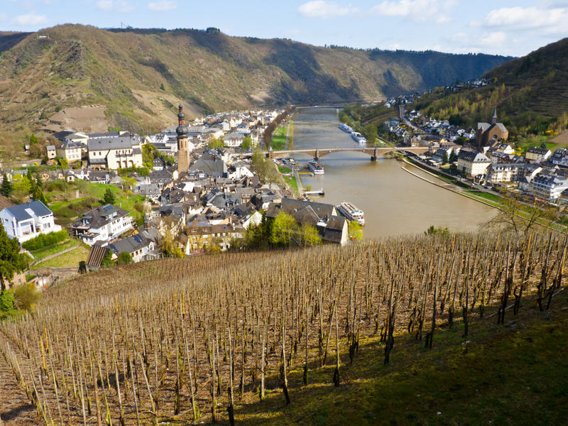 <p>Steep-Slopes-of the-Mosel.jpg </p>A vineyard on the very steep slopes of the Mosel valley with small town of Cochem below on the banks of the river.