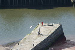 8023   Tate Hill Pier in Whitby harbour