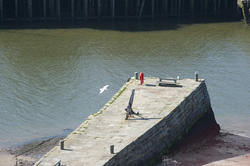8023   Tate Hill Pier in Whitby harbour