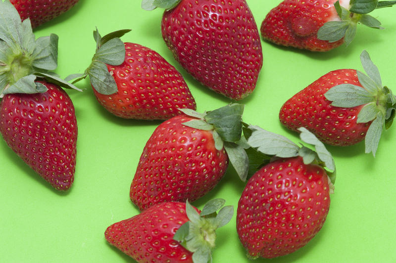 Colourful strawberry background with succulent ripe red whole fruit arranged on a lime green backdrop