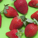 8523   Colourful strawberry background
