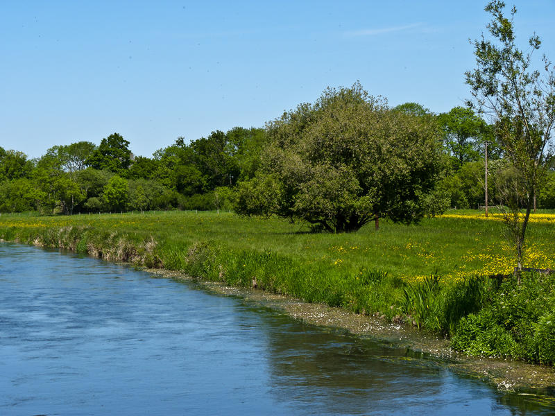 <p>Summertime River Avon</p>The Wiltshire Avon meanders through the countryside on  bright summers day.