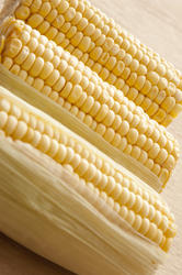 11809   dehusked sweet corn