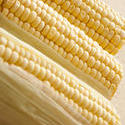 11809   dehusked sweet corn