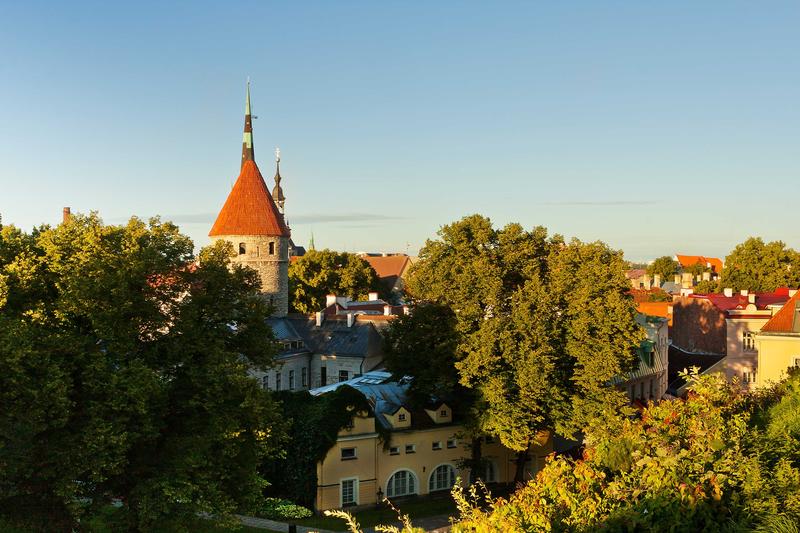 <p>Spires, Towers and Roofs of Old Tallinn among Greenery on a Summer Sunny Afternoon</p>