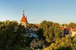 11070   tallinn in late noon