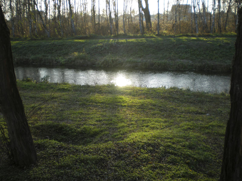 <p>sun,stream,sun into a stream,sunshine into the water </p>
