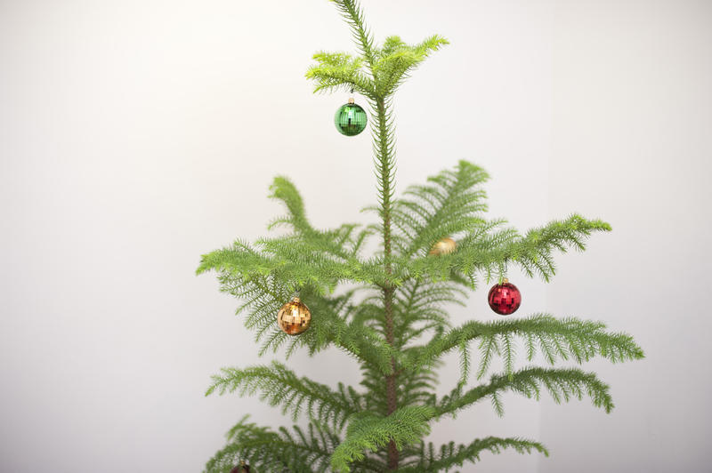 Natural evergreen pine Christmas tree with colourful baubles hanging from its branches, close up view of the top of the tree