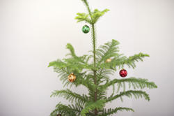 8632   Christmas tree with colourful baubles