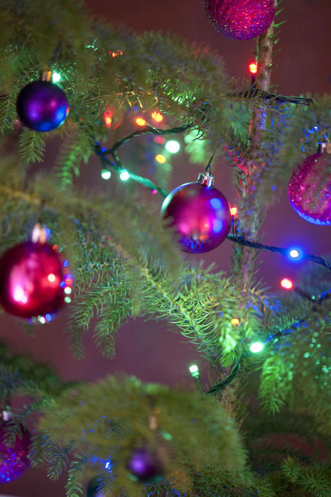 Colorful Christmas tree decorations with multicolored twinkling lights and metallic vibrant baubles decorating the green branches of the tree