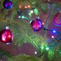 11577   Colorful Christmas tree decorations