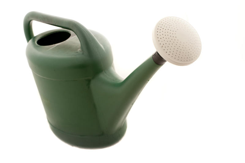 Close-up of a plastic green round watering can, with handle and a white sprout, useful for gardening, isolated on white