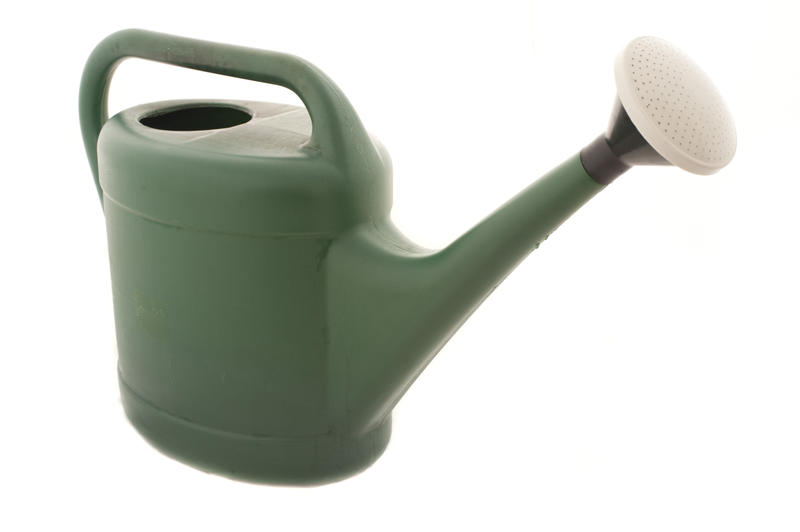 Green plastic watering can with a large white nozzle for watering the garden isolated on white