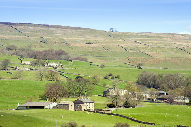 Picturesque view of typical stone farm buildings near Wensleydale, Yorkshire Dales set in the rolling green hills of the area