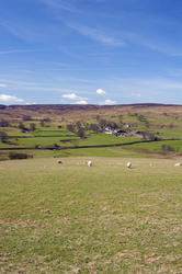 7780   View of Wensleydale in the Yorkshire Dales