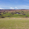 7780   View of Wensleydale in the Yorkshire Dales