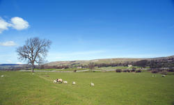 7763   Wensleydale, Yorkshire Dales