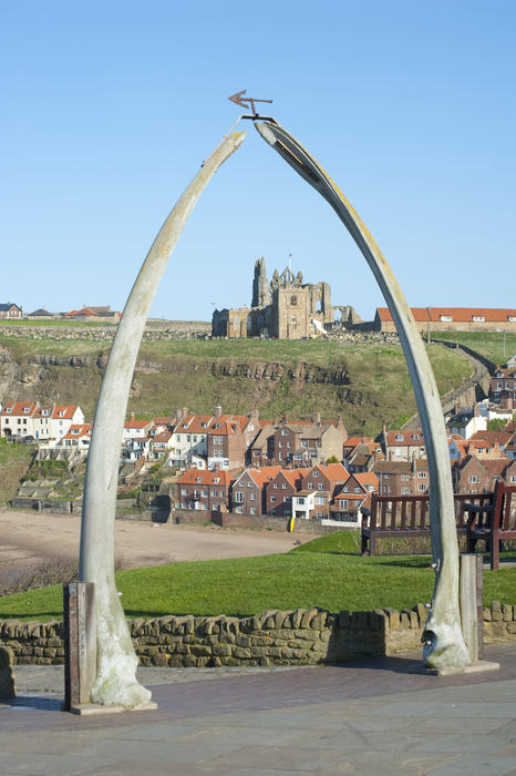 Whale bone monument on the West Cliff at Whitby is compossed of a whale jawbone in the upright position forming an arch framing the ruins of the Whitby Abbey on the hill