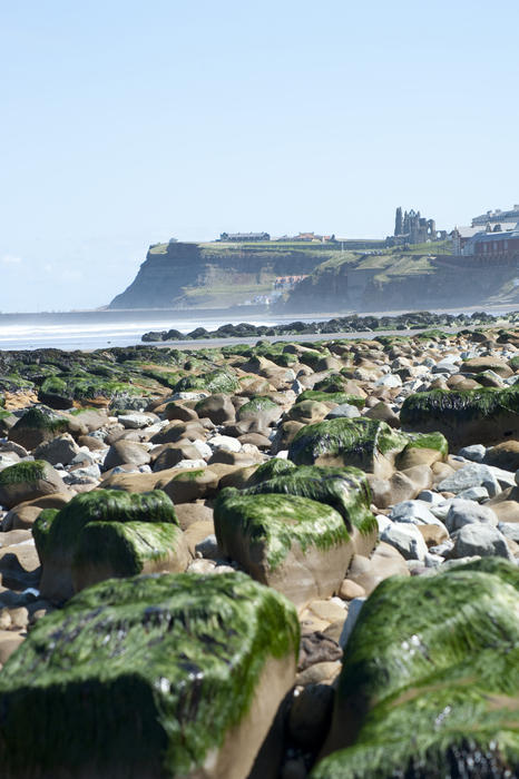 Distance View towards Whitby from the West along the beautiful Coast